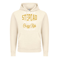 Vintage Artic I'm The Best Stepdad | Father's Day Vintage Hoodie - artisFamous
