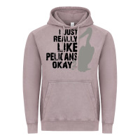 Vintage Zinc i just really like pelicans okay Vintage Hoodie - artisFamous