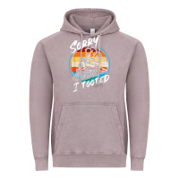 Vintage Zinc sorry i tooted Vintage Hoodie - artisFamous