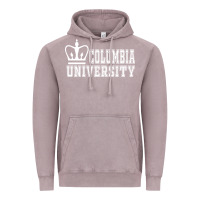 Vintage Zinc columbia university Vintage Hoodie - artisFamous
