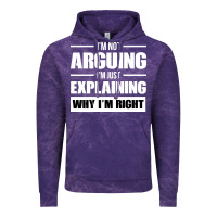 Cloud Purple I'M NOT ARGUING I'M JUST EXPLAINING WHY I'M RIGHT FUNNY Vintage Hoodie - artisFamous