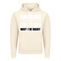 Vintage Artic I'M NOT ARGUING I'M JUST EXPLAINING WHY I'M RIGHT FUNNY Vintage Hoodie - artisFamous