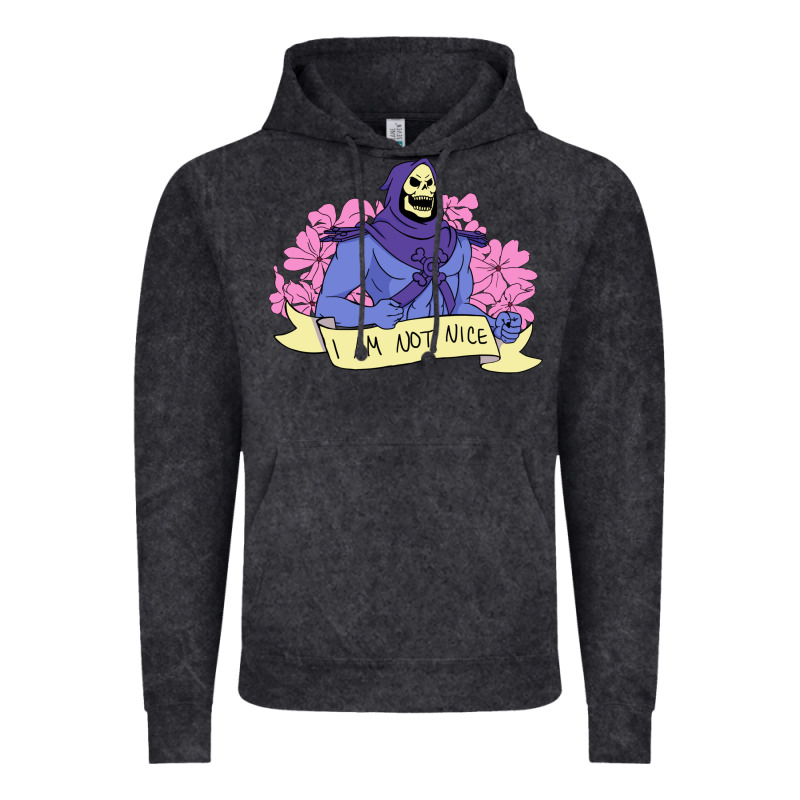 Vintage Skeletor ı Am Not Nice Vintage Hoodie by artisFamous | Teevron