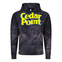 Cloud Black cedar point Vintage Hoodie - artisFamous