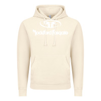 Vintage Artic rockford fosgate Vintage Hoodie - artisFamous