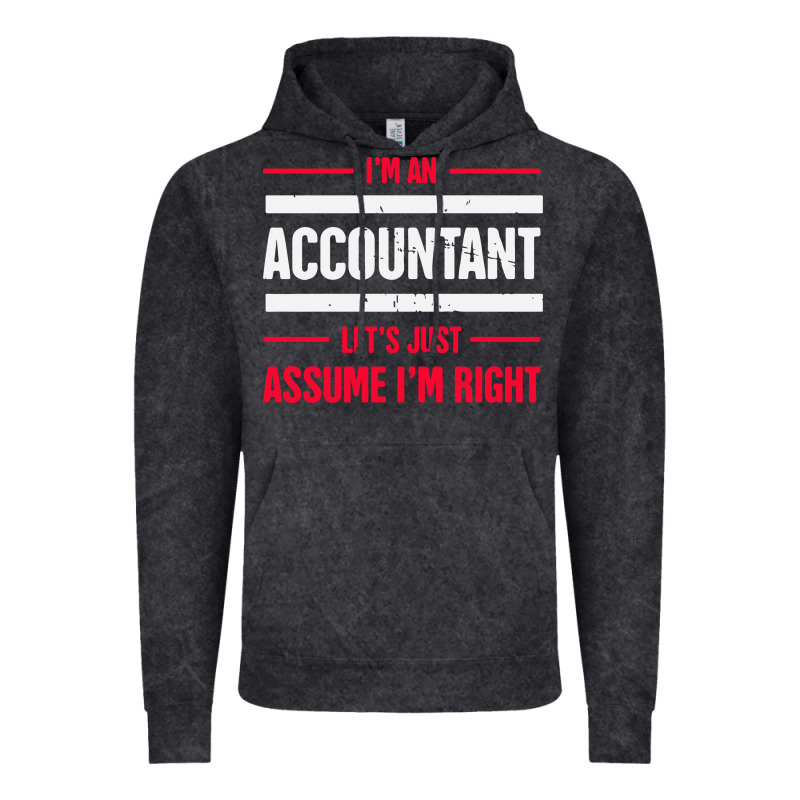 Funny Accounting Design   Gift For Accountants Vintage Hoodie by artisFamous | Teevron