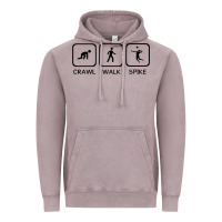 Vintage Zinc crawl walk spike volleyball Vintage Hoodie - artisFamous