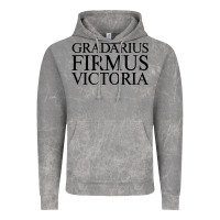 Gradarius Firmus Victoria Vintage Hoodie | Teevron