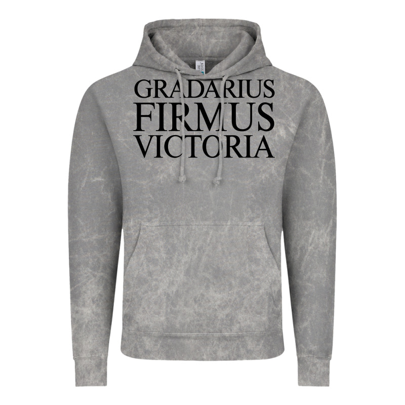 Gradarius Firmus Victoria Vintage Hoodie by artisFamous | Teevron