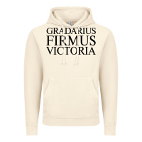 Vintage Artic gradarius firmus victoria Vintage Hoodie - artisFamous