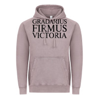 Vintage Zinc gradarius firmus victoria Vintage Hoodie - artisFamous