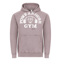 Vintage Zinc power house gym fitness Vintage Hoodie - artisFamous