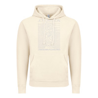 Vintage Artic Joy Division Classic Vintage Hoodie - artisFamous