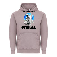 Vintage Zinc merch mr worldwide pit bull Vintage Hoodie - artisFamous
