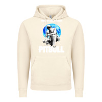 Vintage Artic merch mr worldwide pit bull Vintage Hoodie - artisFamous