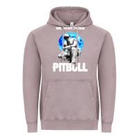 Vintage Zinc merch mr worldwide pit bull Vintage Hoodie - artisFamous