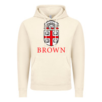 Vintage Artic brown university Vintage Hoodie - artisFamous