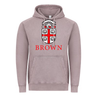Vintage Zinc brown university Vintage Hoodie - artisFamous