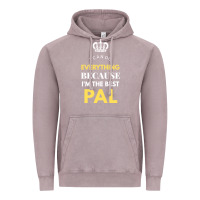 Vintage Zinc i'm the best pal Vintage Hoodie - artisFamous