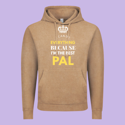 I'm The Best Pal Vintage Hoodie Designed By Artisfamous