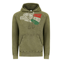 Mexico Flag Vintage Hoodie | Teevron