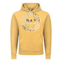 Vintage Mustard DASHBOARD CONFESSIONAL Vintage Hoodie - artisFamous