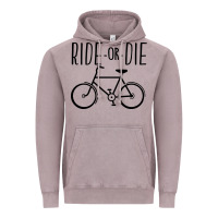 Vintage Zinc ride or die bicycle Vintage Hoodie - artisFamous