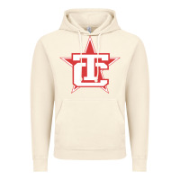 Vintage Artic Traverse City North Stars Vintage Hoodie - artisFamous