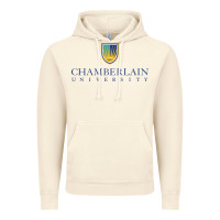 Vintage Artic Chamberlain College Nursing Vintage Hoodie - artisFamous