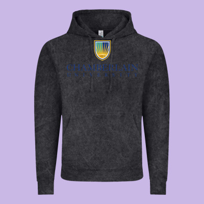 Chamberlain College Nursing Vintage Hoodie Designed By Artisfamous