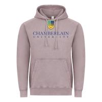 Vintage Zinc Chamberlain College Nursing Vintage Hoodie - artisFamous