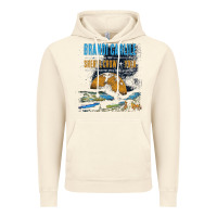 Vintage Artic Brandi Carlile Poster Vintage Hoodie - artisFamous