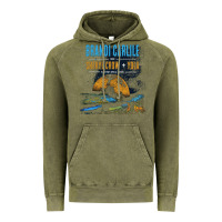 Vintage Olive Brandi Carlile Poster Vintage Hoodie - artisFamous