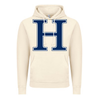 Vintage Artic Hillsdale College Vintage Hoodie - artisFamous
