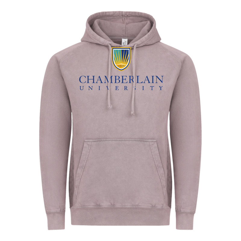 Chamberlain College Vintage Hoodie by artisFamous | Teevron