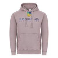 Vintage Zinc Chamberlain College Vintage Hoodie - artisFamous