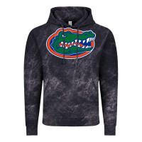 Cloud Black gators gator Vintage Hoodie - artisFamous