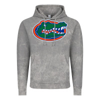 Cloud Rock gators gator Vintage Hoodie - artisFamous