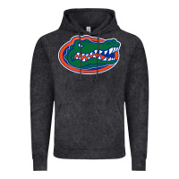Vintage Black gators gator Vintage Hoodie - artisFamous