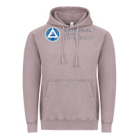 Vintage Zinc National Louis College Vintage Hoodie - artisFamous