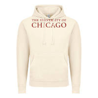 Vintage Artic College of Chicago Vintage Hoodie - artisFamous