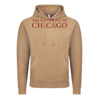 Vintage Coffee College of Chicago Vintage Hoodie - artisFamous