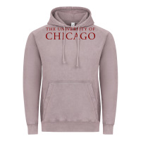 Vintage Zinc College of Chicago Vintage Hoodie - artisFamous