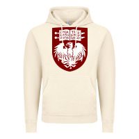 Vintage Artic College of Chicago Vintage Hoodie - artisFamous