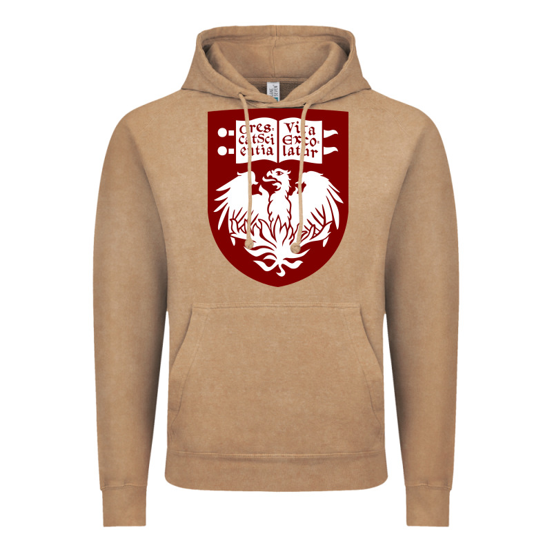 College Of Chicago Vintage Hoodie by artisFamous | Teevron
