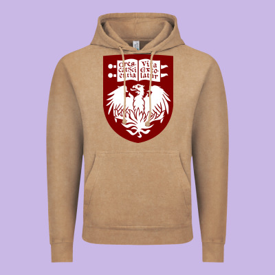 College Of Chicago Vintage Hoodie Designed By Artisfamous
