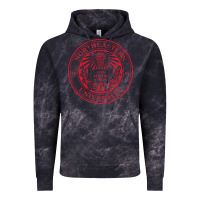 Cloud Black northeastern university Vintage Hoodie - artisFamous