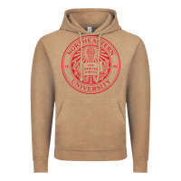 Vintage Coffee northeastern university Vintage Hoodie - artisFamous