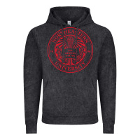 Vintage Black northeastern university Vintage Hoodie - artisFamous