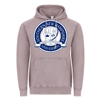 Vintage Zinc southern new hampshire university Vintage Hoodie - artisFamous
